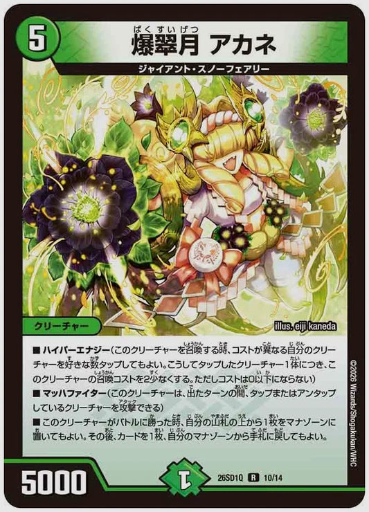 爆翠月 アカネ(R) [dm26sd1. 10/14]