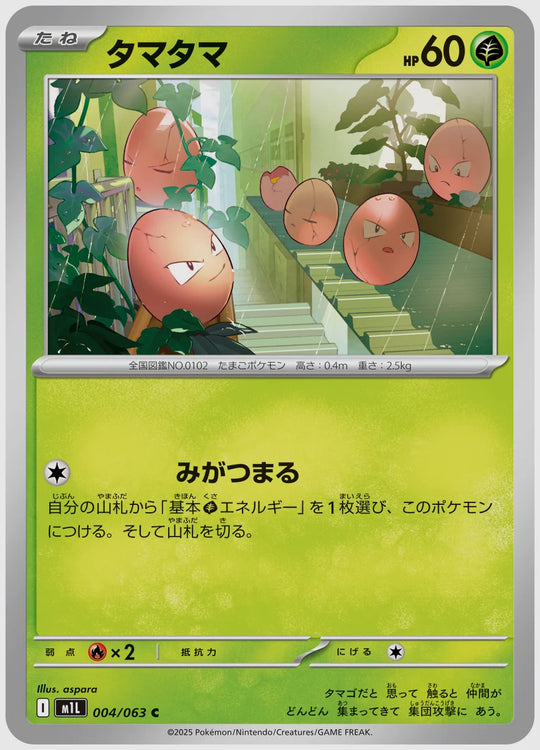 タマタマ(C) [M1L. 004/063]
