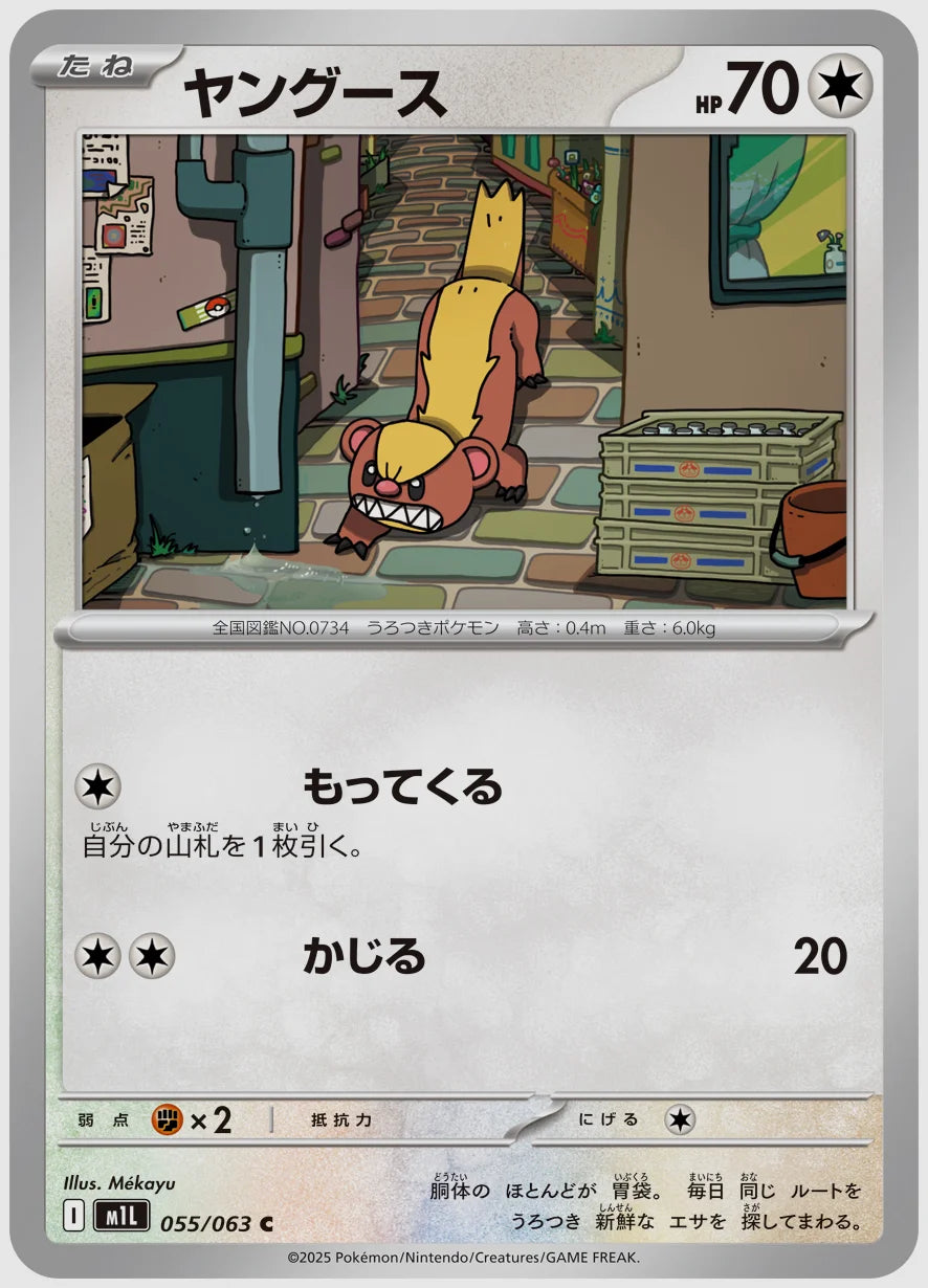 ヤングース(C) [M1L. 055/063]
