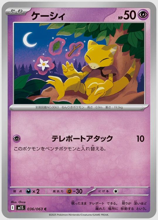 ケーシィ(C) [M1S. 036/063]
