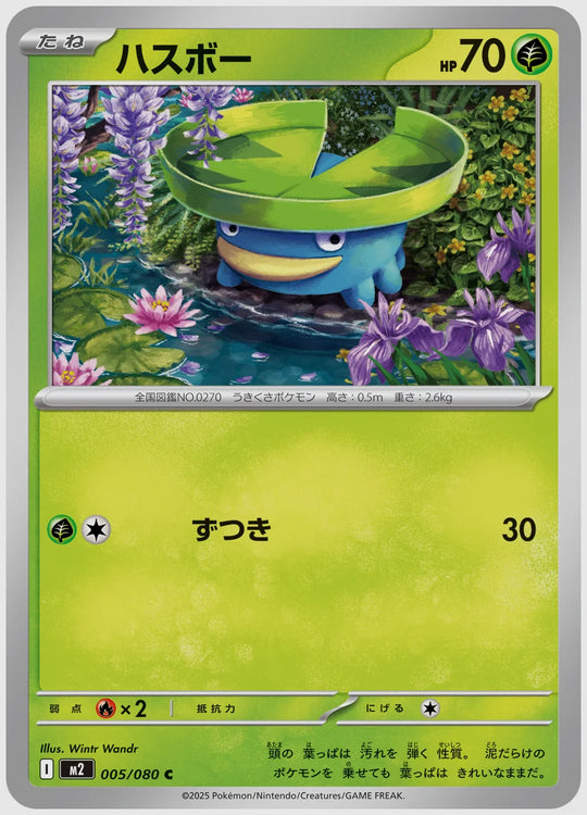 ハスボー(C) [M2. 005/080]
