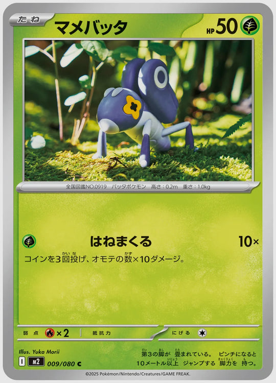 マメバッタ(C) [M2. 009/080]