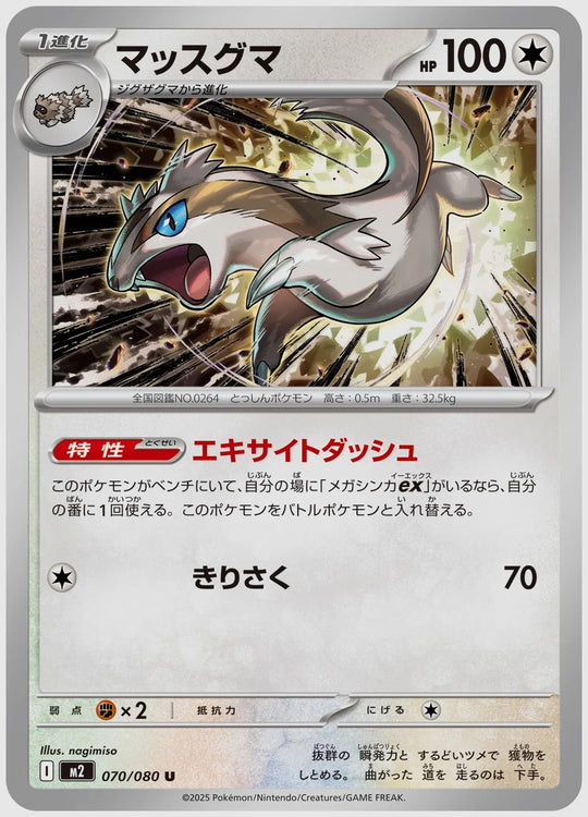 マッスグマ(R) [M2. 070/080]
