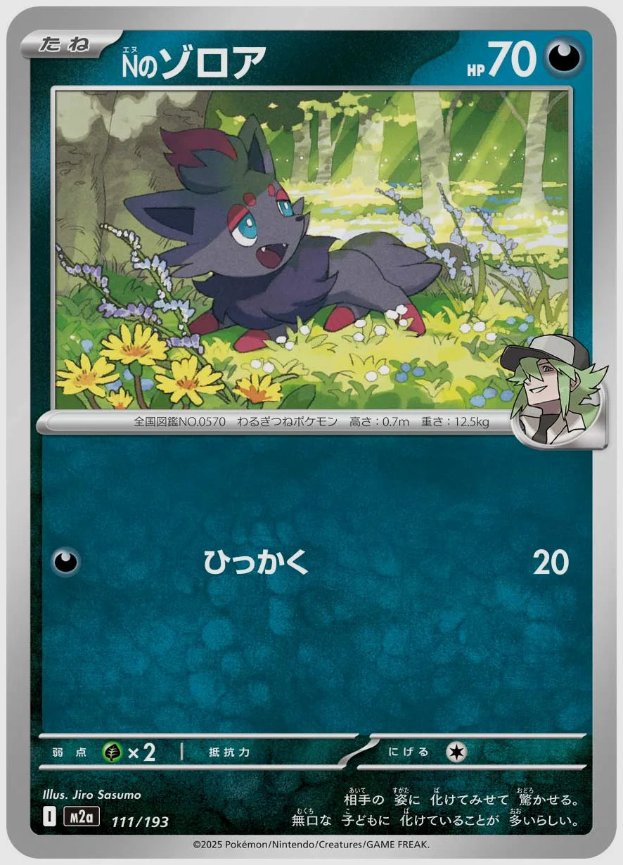 Nのゾロア [M2a. 111/193]