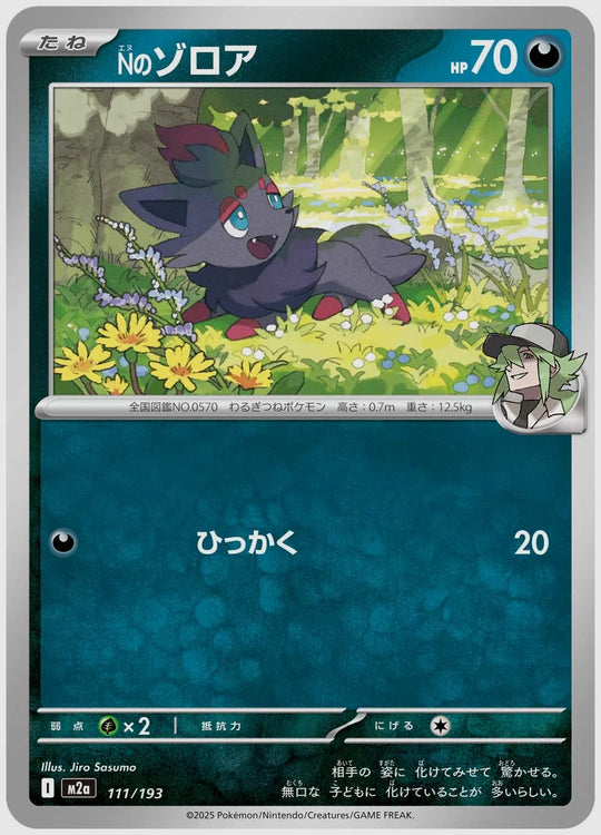Nのゾロア [M2a. 111/193]