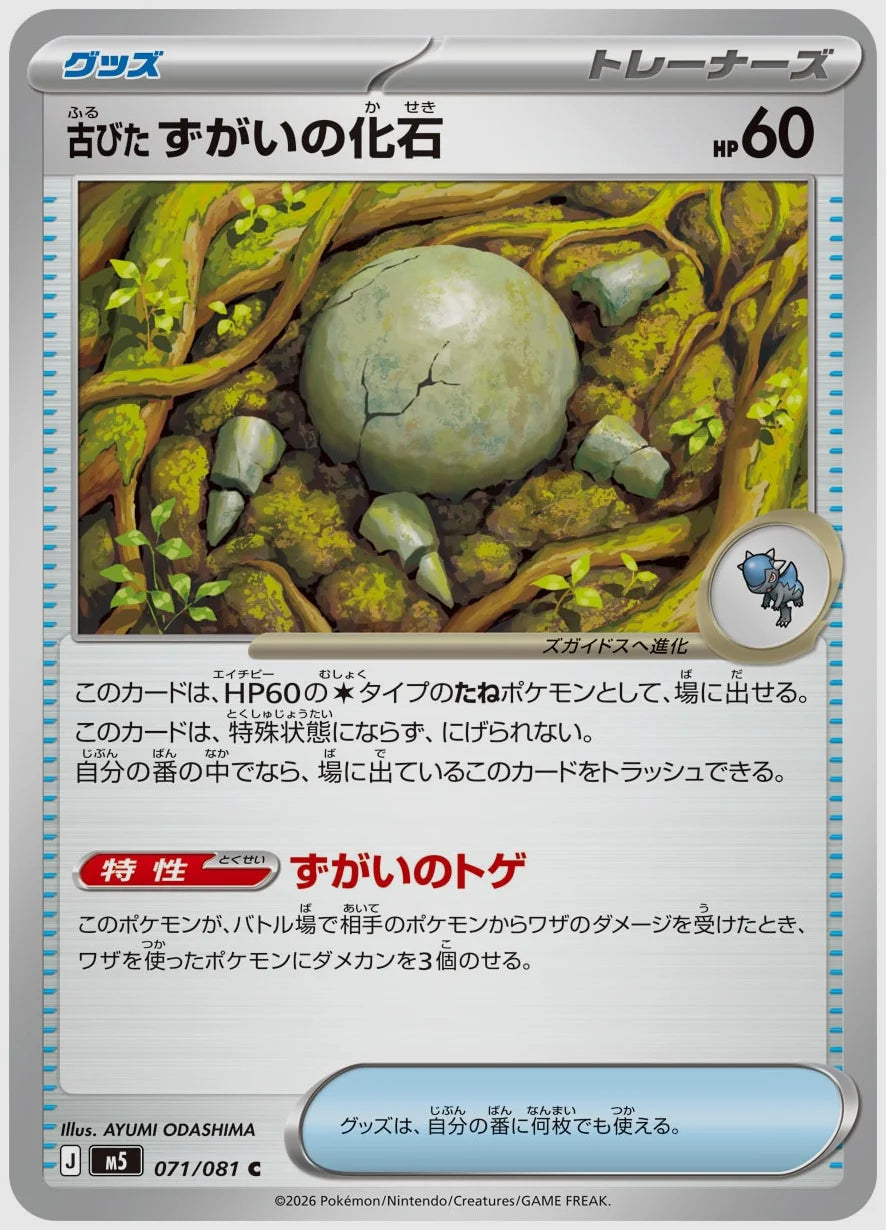 古びたずがいの化石(C) [M5. 071/081]
