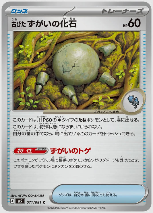古びたずがいの化石(C) [M5. 071/081]