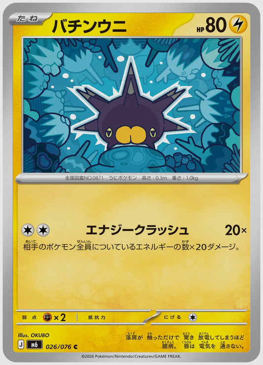 バチンウニ(C) [M6. 026/076]