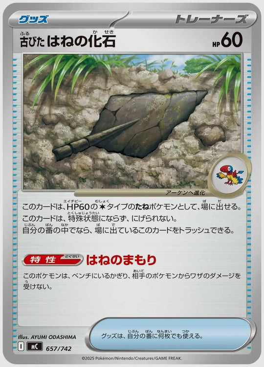古びたはねの化石 [MC. 657/742]