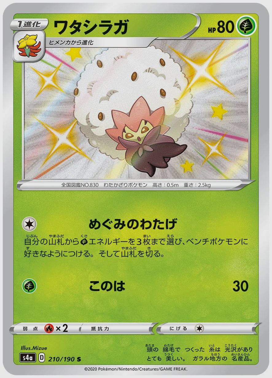 ワタシラガ(S) [S4a. 210/190]