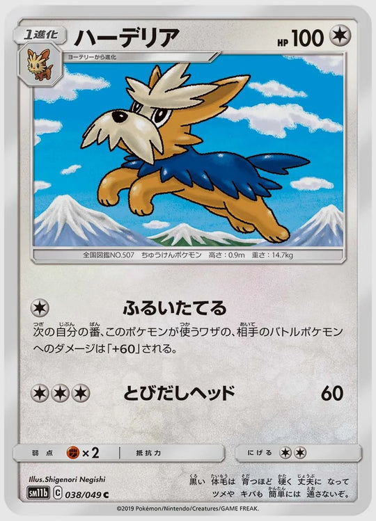 ハーデリア(C) [SM11b. 038/049]