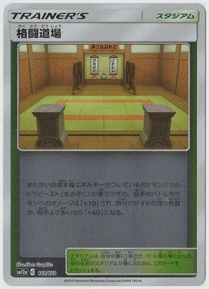 格闘道場《ミラー》 [SM12a. 161/173]