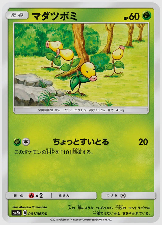 マダツボミ(C) [SM6b. 001/066]