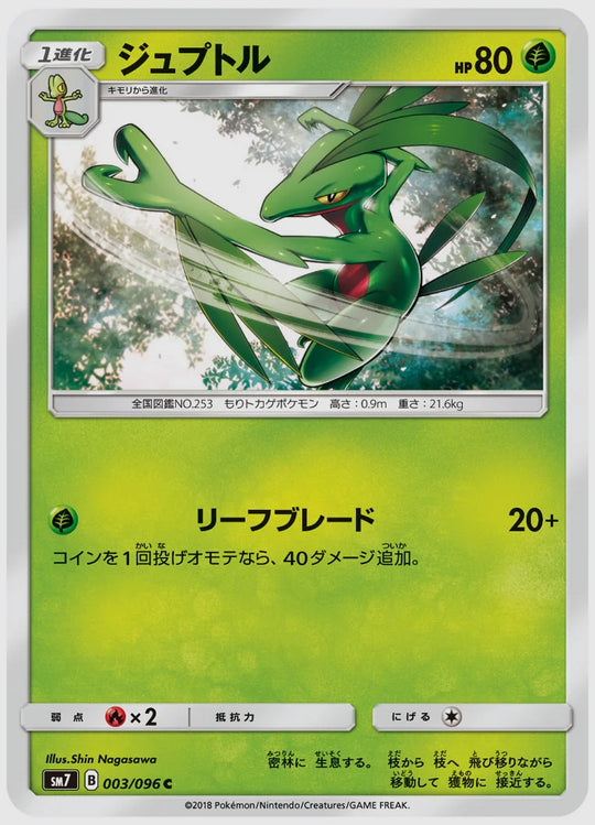 ジュプトル(C) [SM7. 003/096]