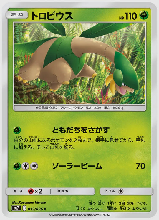 トロピウス(C) [SM7. 013/096]