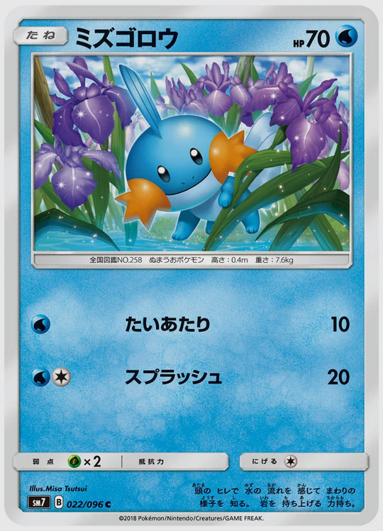 ミズゴロウ(C) [SM7. 022/096]