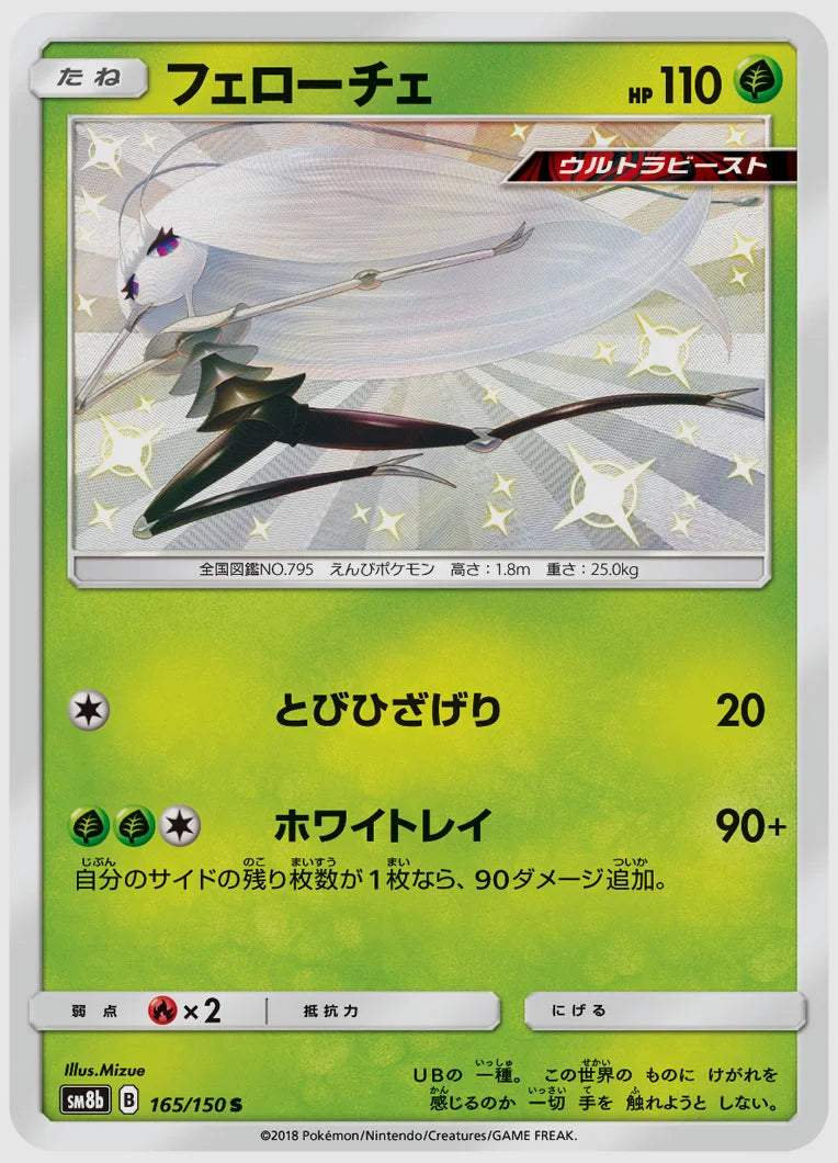 フェローチェ(S) [SM8b. 165/150]