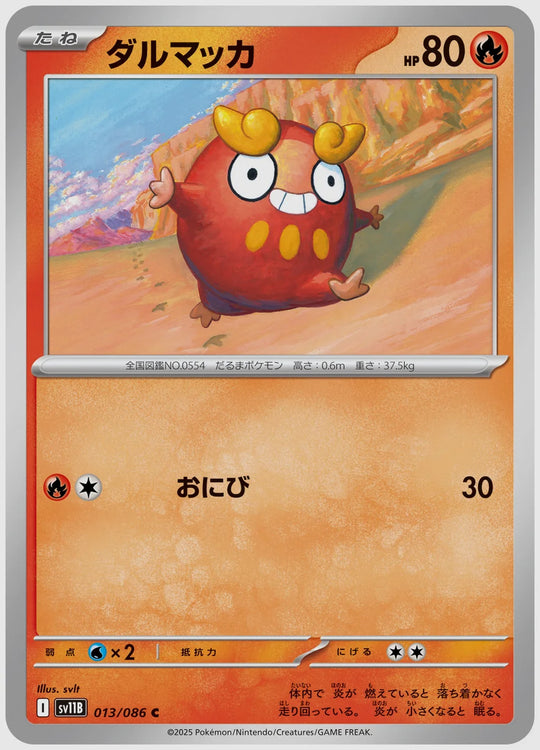 ダルマッカ(C) [SV11B. 013/086]