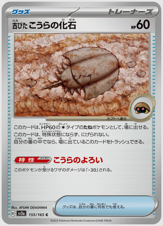 古びたこうらの化石(C) [SV2a. 155/165]