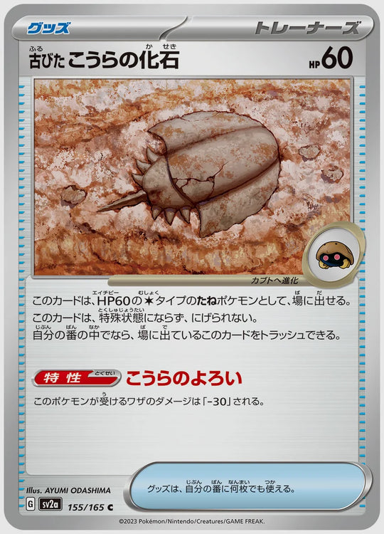 古びたこうらの化石(C) [SV2a. 155/165]
