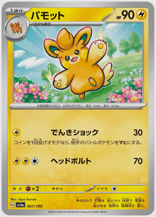 パモット [SV4a. 067/190]