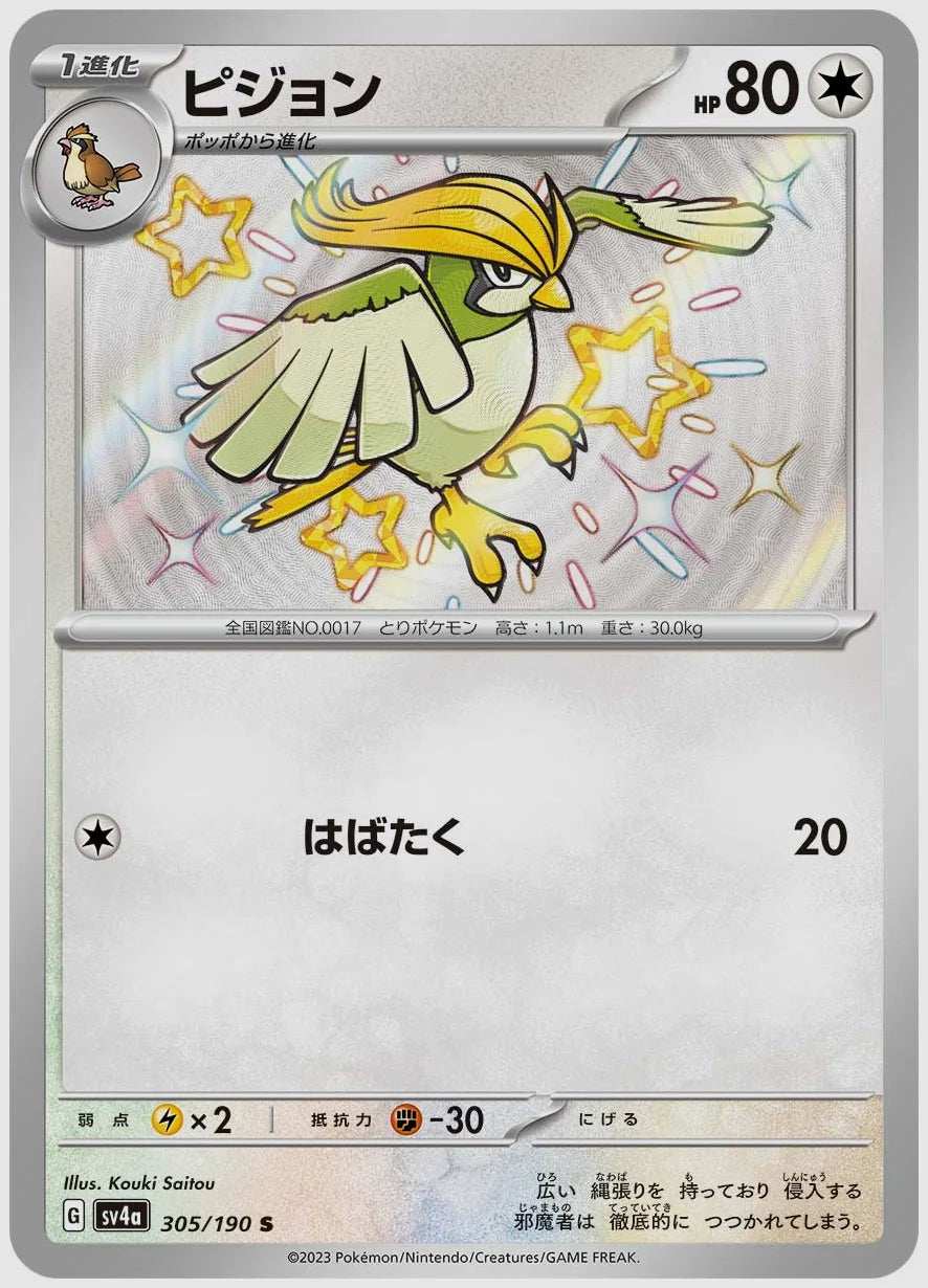 ピジョン(S) [SV4a. 305/190]