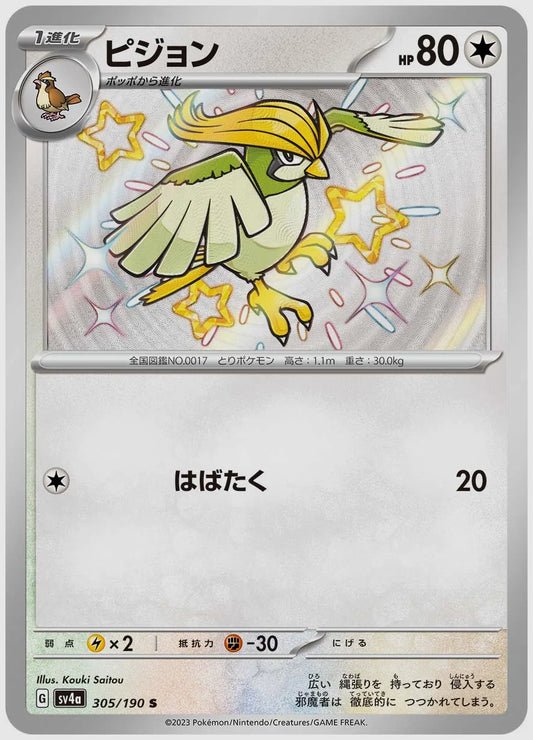 ピジョン(S) [SV4a. 305/190]