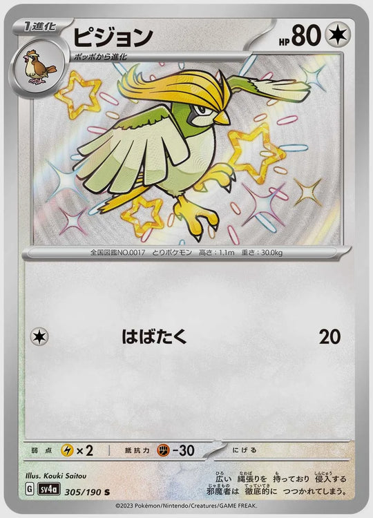 ピジョン(S) [SV4a. 305/190]