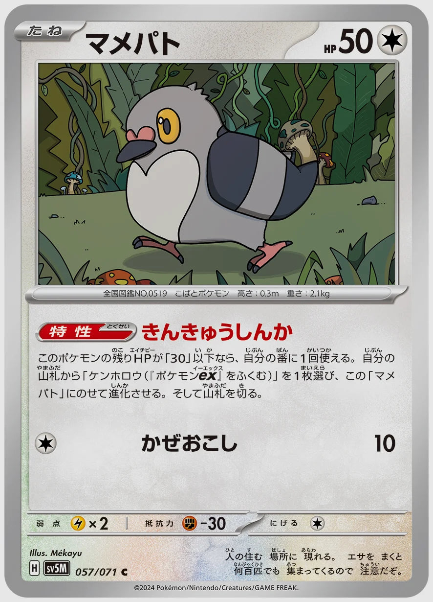 マメパト(C) [SV5M. 057/071]