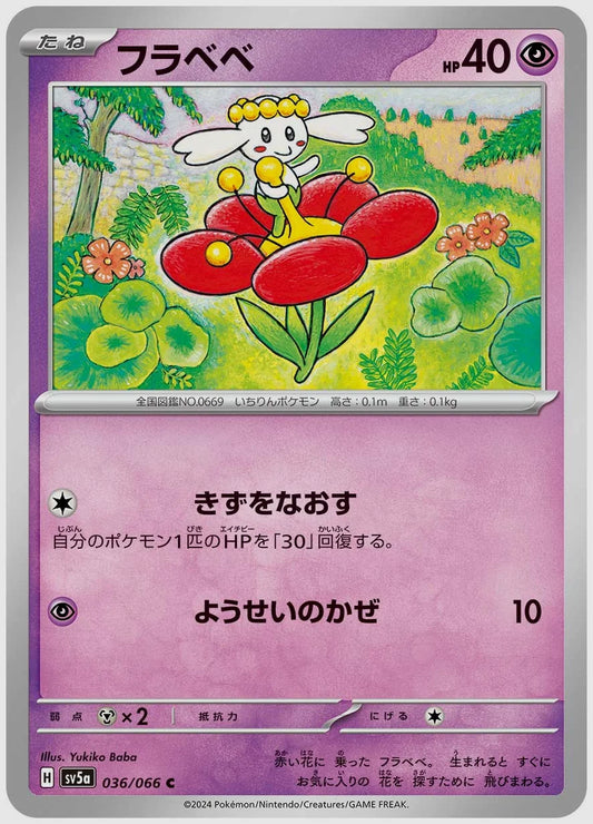フラベベ(C) [SV5a. 036/066]