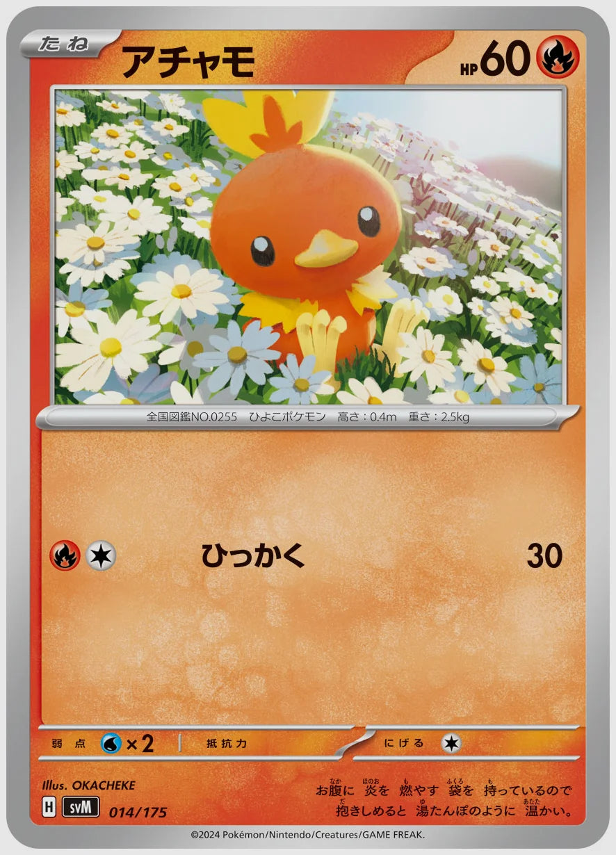 アチャモ(SS) [SVM. 014/175]