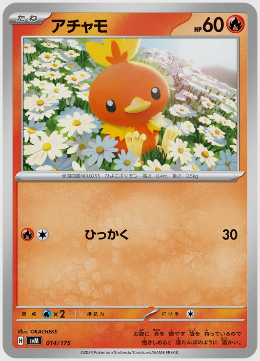 アチャモ(SS) [SVM. 014/175]