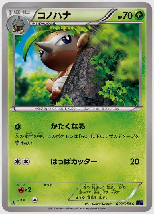 コノハナ(C)《1ED》 [XY11B. 002/054]