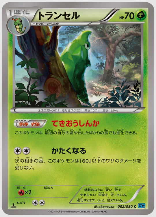 トランセル(C)《アンリミ》 [XY2. 002/080]