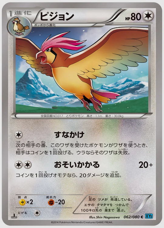 ピジョン(C)《アンリミ》 [XY2. 062/080]
