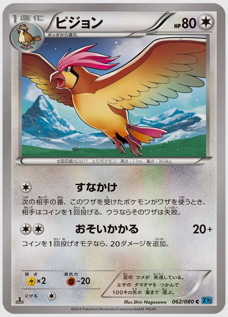 ピジョン(C)《1ED》 [XY2. 062/080]