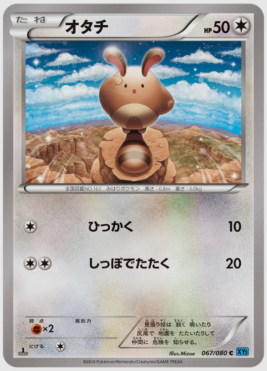 オタチ(C)《アンリミ》 [XY2. 067/080]