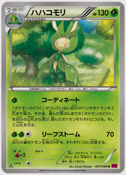 ハハコモリ(U)《アンリミ》 [XY4. 007/088]