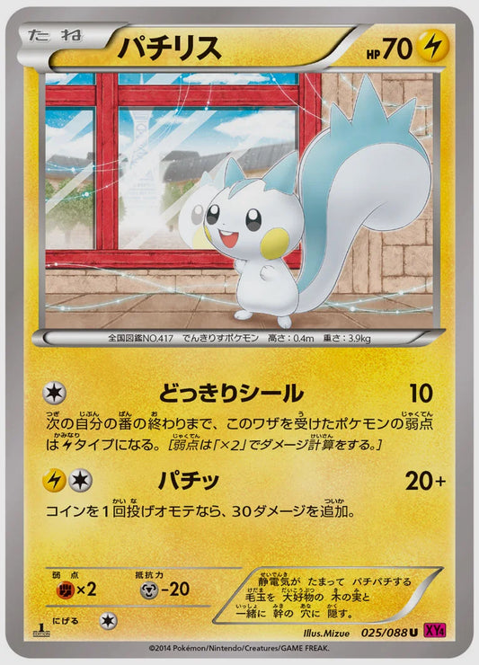 パチリス(U)《1ED》 [XY4. 025/088]