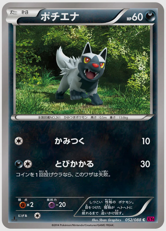 ポチエナ(C)《1ED》 [XY4. 052/088]