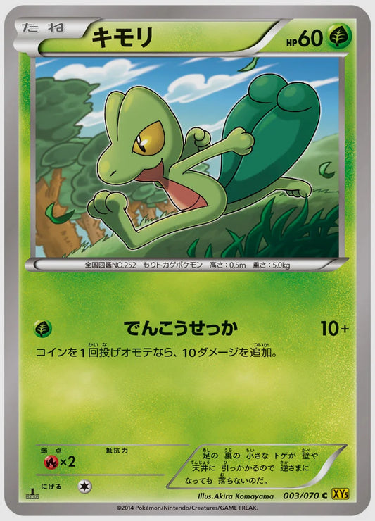 キモリ(C)《1ED》 [XY5G. 003/070]