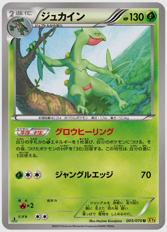 ジュカイン(U)《1ED》 [XY5G. 005/070]