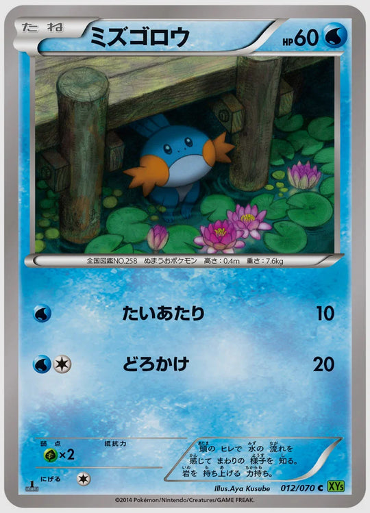 ミズゴロウ(C)《1ED》 [XY5T. 012/070]