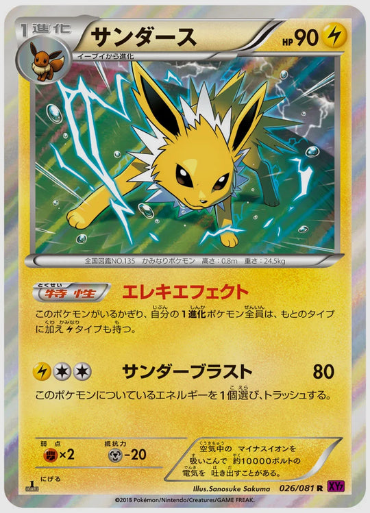 サンダース(R)《アンリミ》 [XY7. 026/081]